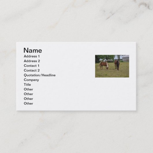 Carte de visite de cheval (Devant)