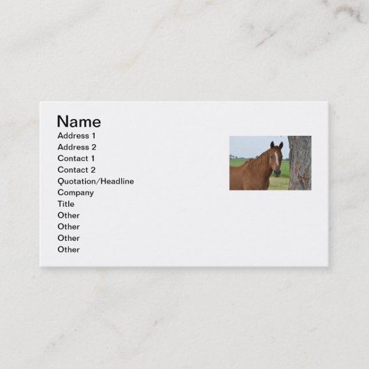 Carte de visite de cheval (Devant)