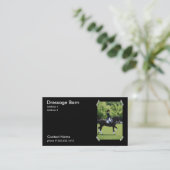 Carte de visite de cheval de dressage (Debout devant)