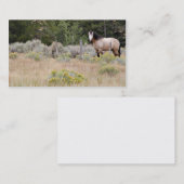 Carte de visite de cheval de gamme (Devant / Derrière)