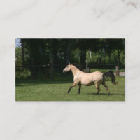 Carte de visite de cheval de peau de daim