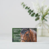 Carte de visite de cheval de Warmblood (Debout devant)