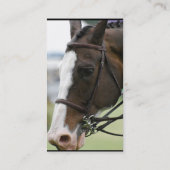 Carte de visite de cheval de Warmblood (Dos)