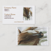 Carte de visite de cheval sauvage de mustang (Devant / Derrière)