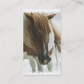 Carte de visite de cheval sauvage de mustang (Dos)