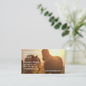 Carte de visite de chevaux de coucher du soleil (Debout devant)