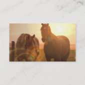 Carte de visite de chevaux de coucher du soleil (Dos)