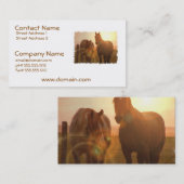 Carte de visite de chevaux de coucher du soleil (Devant / Derrière)