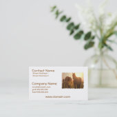 Carte de visite de chevaux de coucher du soleil (Debout devant)