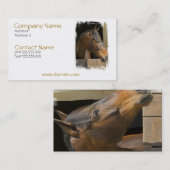 Carte de visite de chevaux de pur sang (Devant / Derrière)