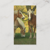 Carte de visite de chevaux de trait de palomino (Dos)