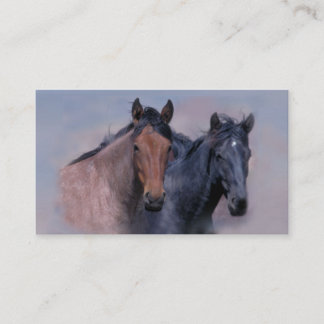 Carte de visite de chevaux sauvages