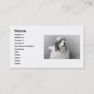 Carte de visite de chien