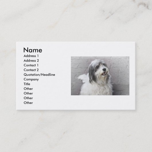 Carte de visite de chien (Devant)