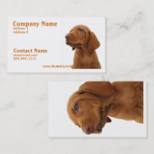 Carte de visite de chien (Devant / Derrière)