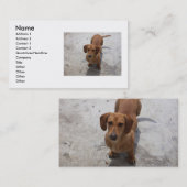 Carte de visite de chien (Devant / Derrière)