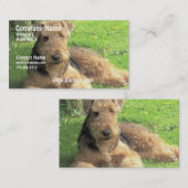 Carte de visite de chien d'Airedale Terrier (Devant / Derrière)