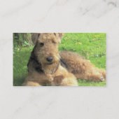 Carte de visite de chien d'Airedale Terrier (Dos)