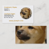 Carte de visite de chien d'Akita (Devant / Derrière)