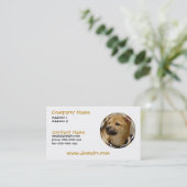 Carte de visite de chien d'Akita (Debout devant)