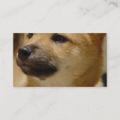 Carte de visite de chien d'Akita (Dos)