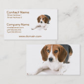Carte de visite de chien de beagle (Devant / Derrière)