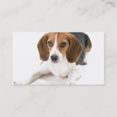 Carte de visite de chien de beagle (Dos)