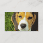 Carte de visite de chien de beagle (Dos)