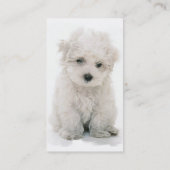 Carte de visite de chien de Bichon Frise (Dos)