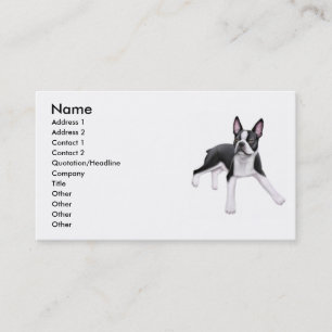 Carte de visite de chien de Boston Terrier