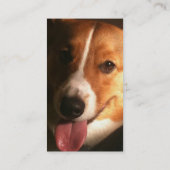 Carte de visite de chien de corgi de Gallois de (Dos)