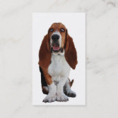 Carte de visite de chien de Hond de basset (Dos)