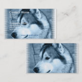 Carte de visite de chien de Malamute d'Alaska (Devant / Derrière)