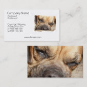 Carte de visite de chien de mastiff de sommeil (Devant / Derrière)
