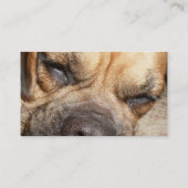 Carte de visite de chien de mastiff de sommeil (Dos)