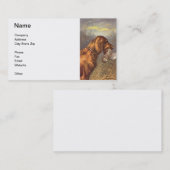 Carte de visite de chien de poseur irlandais (Devant / Derrière)