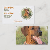 Carte de visite de chien de Rhodesian Ridgeback (Devant / Derrière)