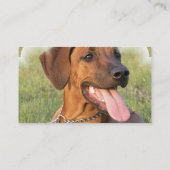 Carte de visite de chien de Rhodesian Ridgeback (Dos)