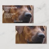 Carte de visite de chien de Rhodesian Ridgeback (Devant / Derrière)