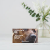 Carte de visite de chien de Rhodesian Ridgeback (Debout devant)