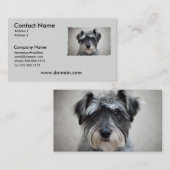 Carte de visite de chien de Schnauzer miniature (Devant / Derrière)