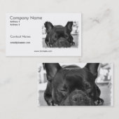 Carte de visite de chien de Taureau de Français (Devant / Derrière)