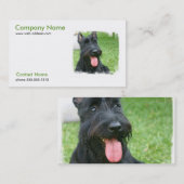 Carte de visite de chien de Terrier d'écossais (Devant / Derrière)