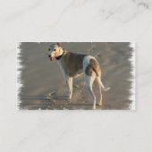 Carte de visite de chien de whippet (Dos)