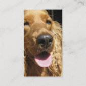 Carte de visite de chien d'épagneul (Dos)