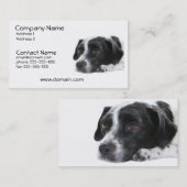 Carte de visite de chien d'indicateur (Devant / Derrière)