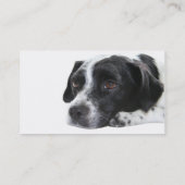 Carte de visite de chien d'indicateur (Dos)