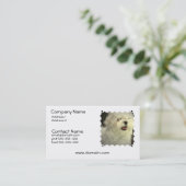 Carte de visite de chien maltais (Debout devant)