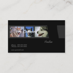 Carte de visite de chiens de traîneau