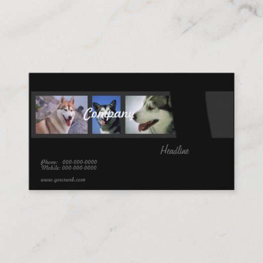 Carte de visite de chiens de traîneau (Devant)